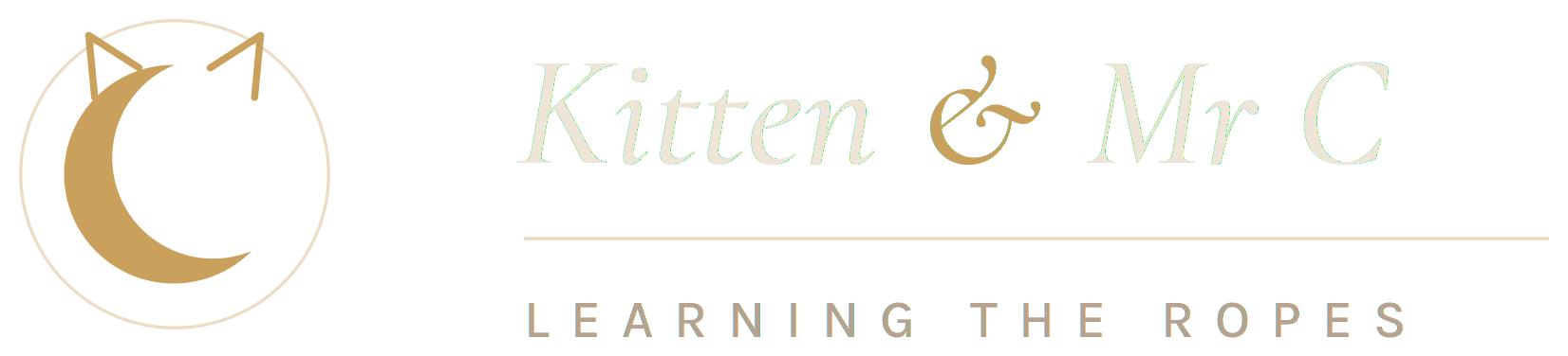 Kitten & Mr C